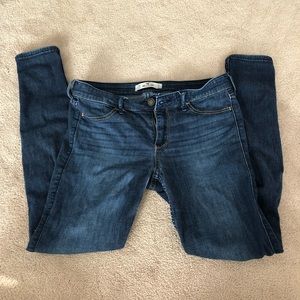 Hollister blue jeans